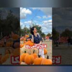 ثبت نام لاتاری چگونه است؟ راهنمای جامع برای کاربران سایت شرط بندی